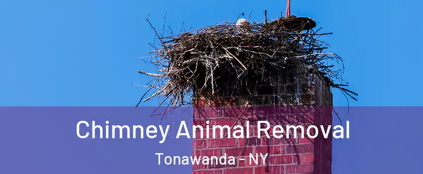  Chimney Animal Removal Tonawanda - NY