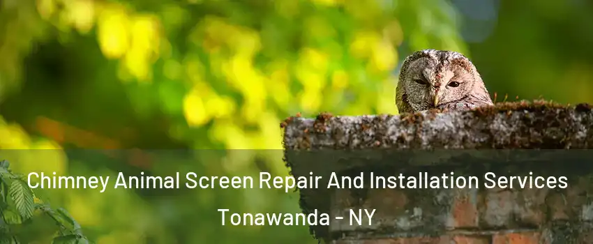  Chimney Animal Screen Repair And Installation Services Tonawanda - NY