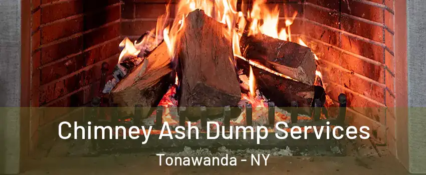  Chimney Ash Dump Services Tonawanda - NY