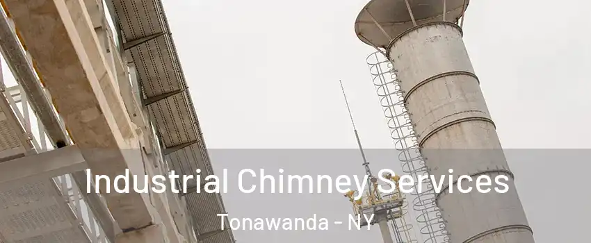  Industrial Chimney Services Tonawanda - NY