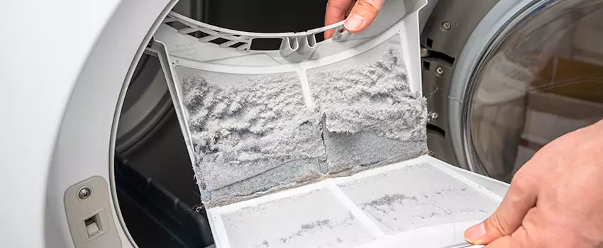 Best Dryer Lint Removal Company in Tonawanda, New York