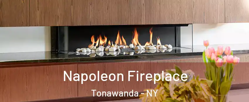  Napoleon Fireplace Tonawanda - NY