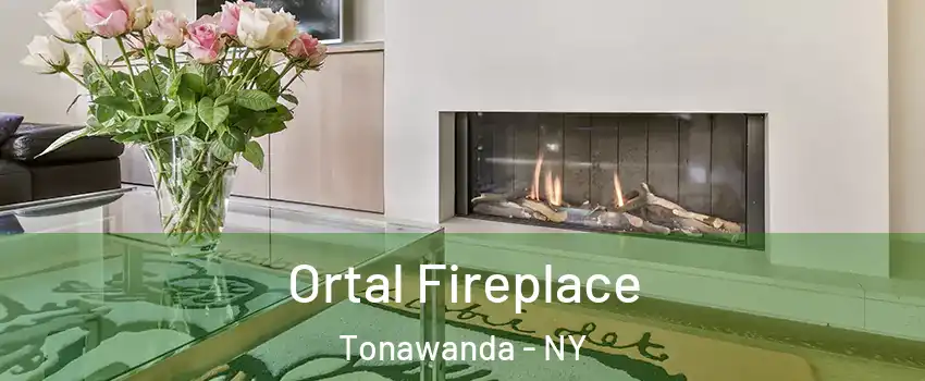  Ortal Fireplace Tonawanda - NY